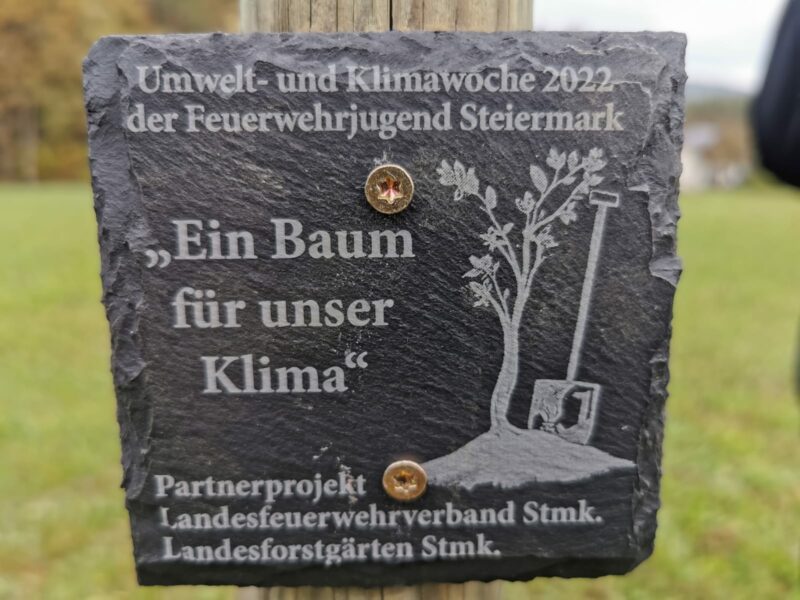 FF_Rohrbach am Kulm_Baum für unser Klima