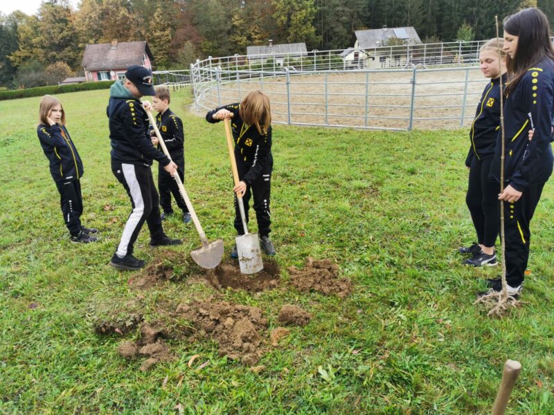 FF_Rohrbach am Kulm_Baum für unser Klima